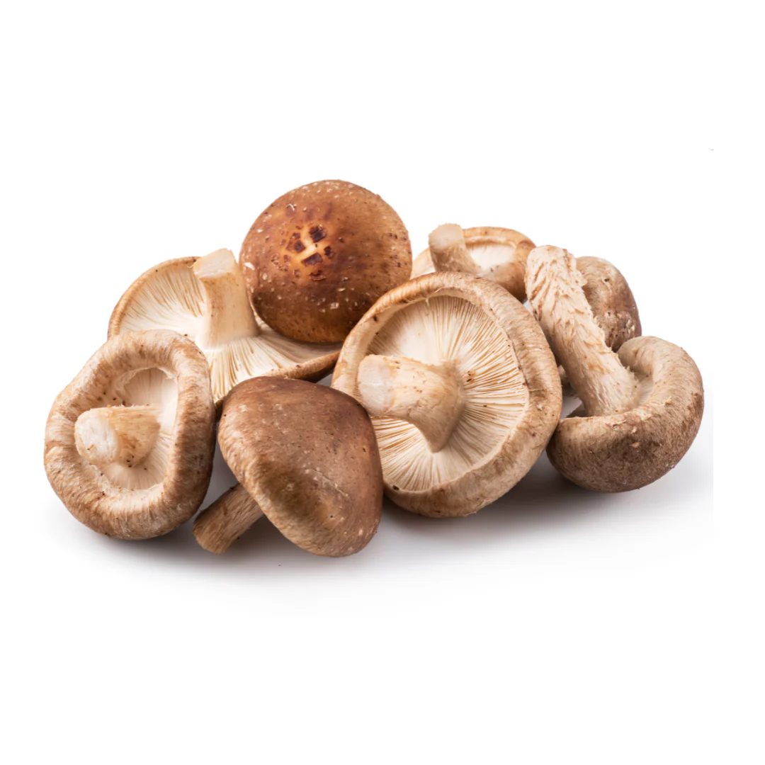 Shiitake Mushroom